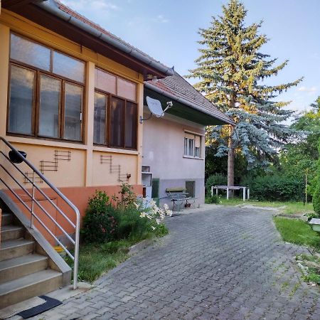 Zadora Haus Apartment Sacele Exterior photo